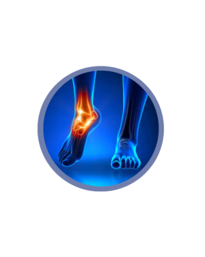 Foot And Ankle Locking System